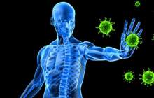 رژیم غذایی سالم برای مبارزه با کرونا