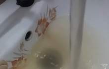 آب شرب اهواز در روزهای شیوع کرونا  <img src="/images/video_icon.png" width="16" height="16" border="0" align="top">