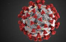 چه بیمارانی بیشتر در معرض کرونا هستند؟