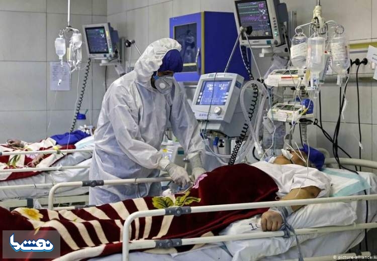 کرونایی‌ها کدام مواد غذایی را مصرف کنند؟