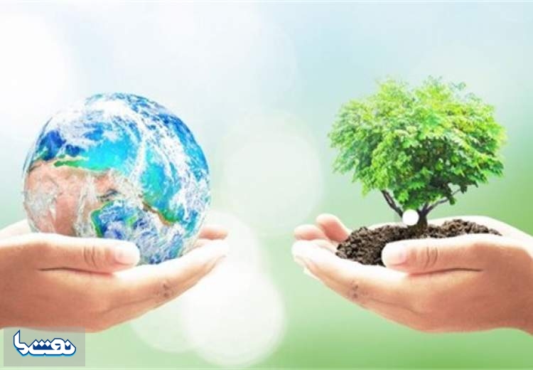 پتروشیمی مروارید ۶۰۰ اصله نهال اهدا کرد