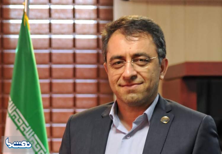 دیپلماسی انرژی دولت پزشکیان مبتنی بر واقعیت های موجود است