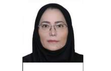 نقش روابط عمومی در شرکت های E&P