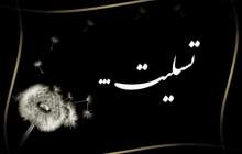  مدیرعامل پتروشیمی بوعلی به سوگ نشست