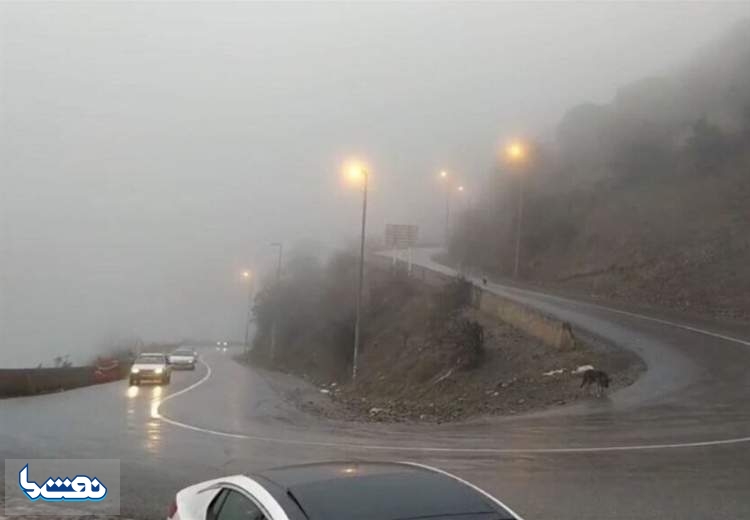 انسداد ۱۰ روزه جاده چالوس