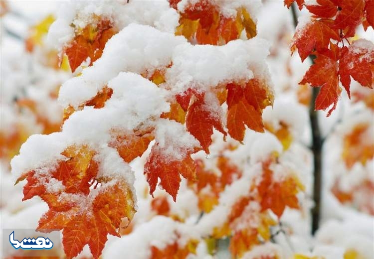 بارش باران و برف در ۱۹ استان طی امروز