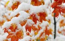 بارش باران و برف در ۱۹ استان طی امروز